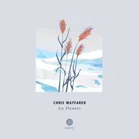 Chris Wayfarer - Ice Flowers