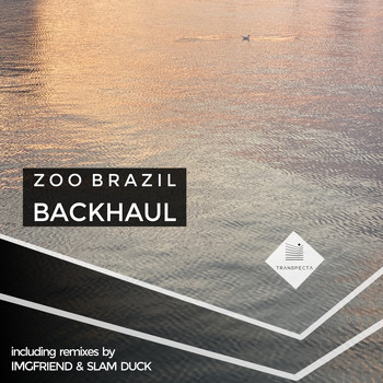 Zoo Brazil - Backhaul