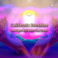 California Sunshine - The Light Between the Trees