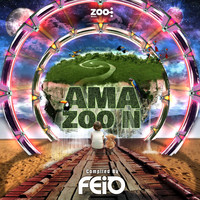 DJ Feio - Amazoon