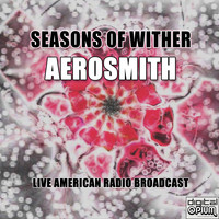 Aerosmith - Seasons Of Wither (Live)