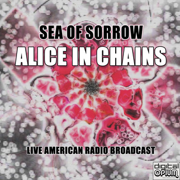 Alice In Chains - Sea of Sorrow (Live)