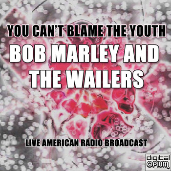 BOB MARLEY AND THE WAILERS - You Can't Blame The Youth (Live)
