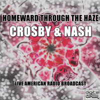 Crosby & Nash - Homeward Through The Haze (Live)