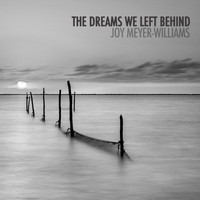 Joy Meyer-Williams - The Dreams We Left Behind
