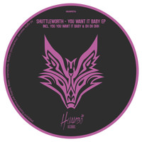 Shuttleworth - You Want It Baby EP