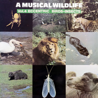 Sam Sklair - A Musical Wildlife, Vol. 4: Eccentric Birds-Insects