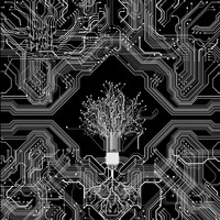 Black Rabbit - Hypnotic