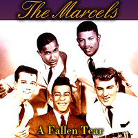 The Marcels - A Fallen Tear