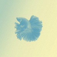 Silou - Piscis