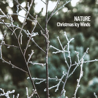 Nature Sounds Nature Music, Sounds of Nature Noise, Fireplace Sounds - Nature: Christmas Icy Winds
