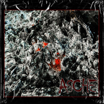 Parker - Asche