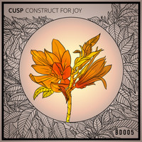 Cusp - Construct for Joy