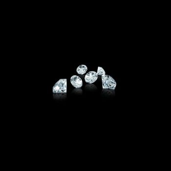 Shark - Purgatory Diamonds (Explicit)