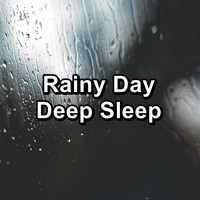 Rain Sounds HD - Rainy Day Deep Sleep
