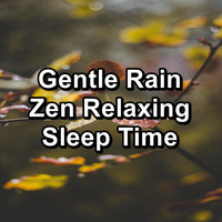 Nature Sounds ï¿½ Sons de la nature - Gentle Rain Zen Relaxing Sleep Time