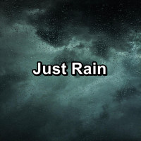 Nature Sound Collection - Just Rain
