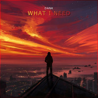 Dank - What I Need