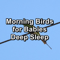 Sleep Music - Morning Birds for Babies Deep Sleep