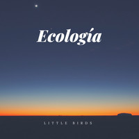 Little Birds - Ecología