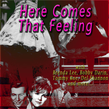 The Crickets / The Crickets - Here Comes That Feeling