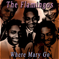 The Flamingos - Where Mary Go