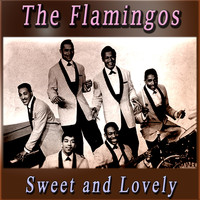 The Flamingos - Sweet and Lovely