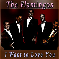 The Flamingos - I Want to Love You