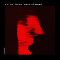 L Ʌ V Σ N - I Thought You Were Real Remixed