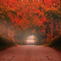4AM - autumn drive (Explicit)