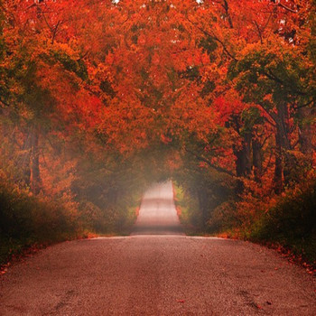 4AM - autumn drive (Explicit)