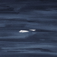 Kauan - Maanpako