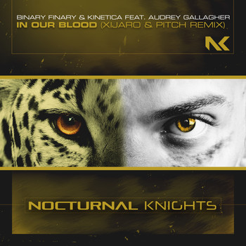 Binary Finary & Kinetica featuring Audrey Gallagher - In Our Blood (XiJaro & Pitch Remix)