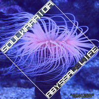 Soul Warrior - Abyssal Life