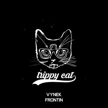 Vynek - Frontin