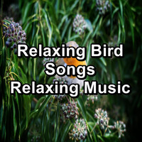 Singing Birds - Relaxing Bird Songs Relaxing Music
