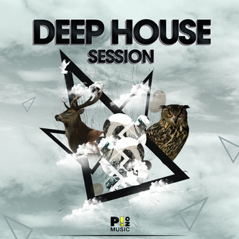 Various Artists - Deep House Session