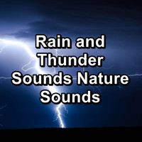Rain Sounds for Sleep - Rain and Thunder Sounds Nature Sounds