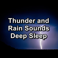Rain Sounds HD - Thunder and Rain Sounds Deep Sleep