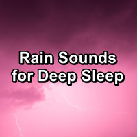 Rest & Relax Nature Sounds Artists - Rain Sounds for Deep Sleep