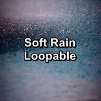 Rain - Soft Rain Loopable