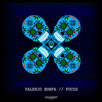 Valerio Bonfa - Focus