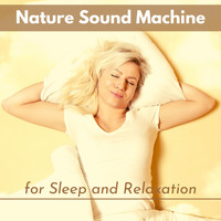 SLEEP RADIO - Nature Sound Machine for Sleep and Relaxation