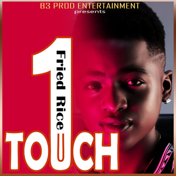 1Touch - Fried rice