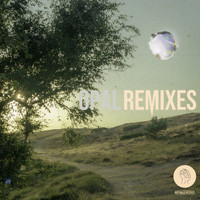 Snavs - Opal (Remixes)