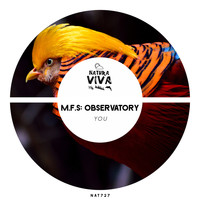 M.F.S: Observatory - You