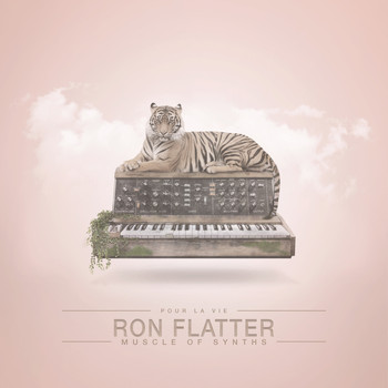 Ron Flatter - Muscle of Synths