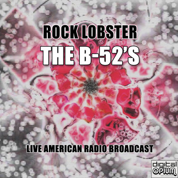 The B-52's - Rock Lobster (Live)