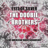 The Doobie Brothers - Eyes Of Silver (Live)