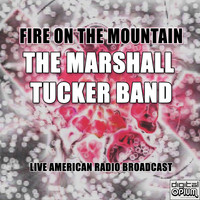 The Marshall Tucker Band - Fire On The Mountain (Live)